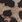 Leopard
 Leopard