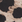 Leopard
 Leopard