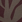 Zebra Major Brown/Burgundy
 Zebra Major Brown/Burgundy