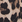Leopard
 Leopard