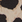 Leopard
 Leopard