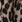 Leopard
 Leopard