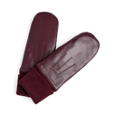 SandroMBG Mittens